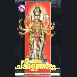 Oum Namo Naarayani