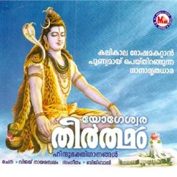 Parichodu Thekkan