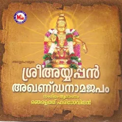 Sree Ayyappan Akhandanamajapam