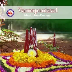 Ponnona Pattunarnnu