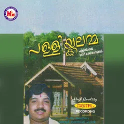 Pallikkal Vazhunna