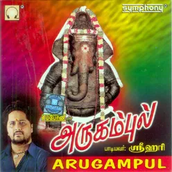 Karuppaa Karuppazhaga