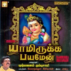 Maruthamalai Vasalile