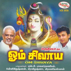Om Shivaya Namaha