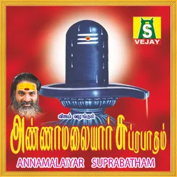 Brammamurai