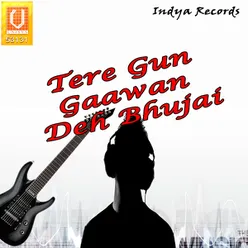 Tere Gun Gaawan