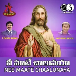 Nee Maate Chaalunaya