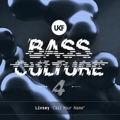 Call Your Name (Bass Culture 4)