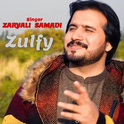 Zulfy