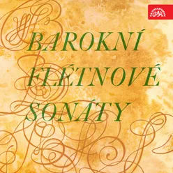 Baroque Flute Sonatas