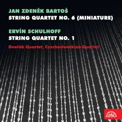 String Quartet No. 6 "Miniature": III. Largo