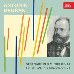 Serenade for Wind Instruments in D Minor, Op. 44: Menuetto. Tempo di minuetto