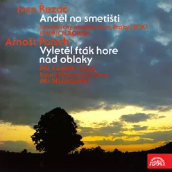 Vyletěl fták hore nad oblaky. Three variations for Oboe and Orchestra: I.
