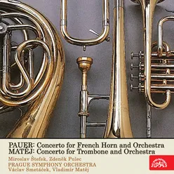 Concerto for French Horn and Orchestra: I. Allegro patetico