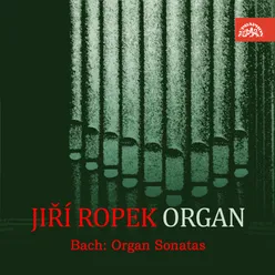 Bach: Organ Sonatas BWV 525 & 526