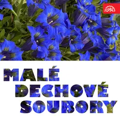 Malé dechové soubory