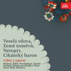 Der Zigeunerbaron, ., Act II: "Verbířská píseň"