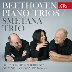 Piano Trio No. 2 in E-Flat Major, Op. 70: No. 3, Allegretto ma non troppo
