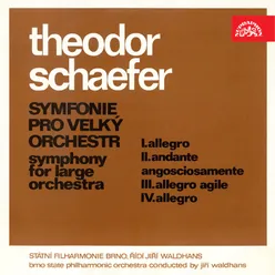 Symphony for Large Orchestra: I. Allegro