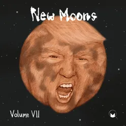 New Moons, Vol. VII