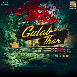 Gulab Thar