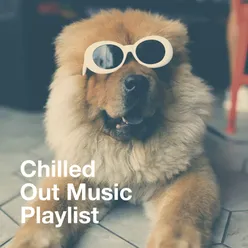 Chilled out Music Playlist