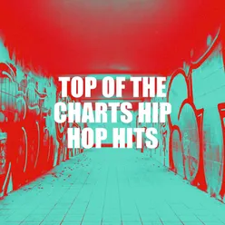 Top of the Charts Hip Hop Hits