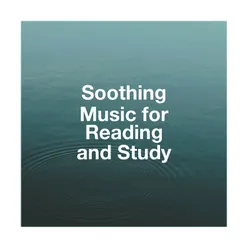 Soothing Music for Reading and Study