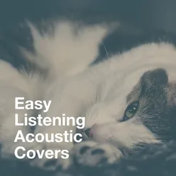 Easy Listening Acoustic Covers