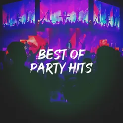 Best of Party Hits