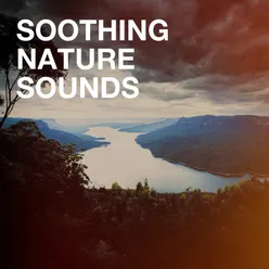 Soothing Nature Sounds