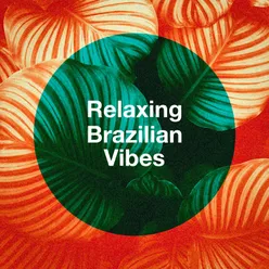 Relaxing Brazilian Vibes