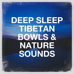 Deep Sleep Tibetan Bowls & Nature Sounds