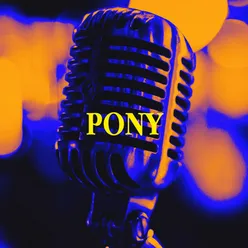 Pony