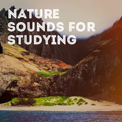 Nature Sounds for Studying