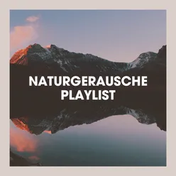Naturgeräusche Playlist