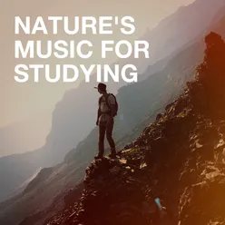 Nature's Music for Studying