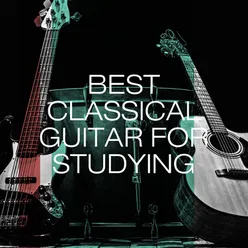 Best Classical Guitar for Studying