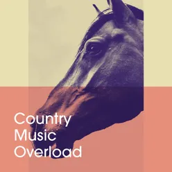 Country Music Overload