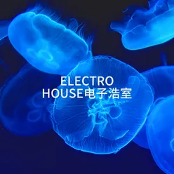 Electro House电子浩室