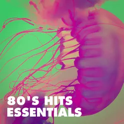 80's Hits Essentials