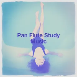 Pan Flute Study Music