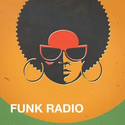 Do You Wanna Funk?