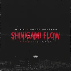 Shinigami Flow