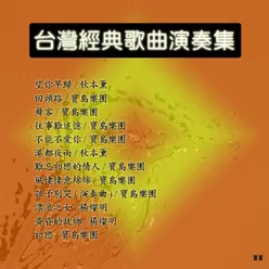 台灣經典歌曲演奏集
