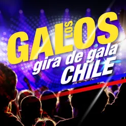 Los Galos (Gira de Gala Chile)