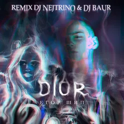 Dior DJ Nejtrino & DJ Baur Remix