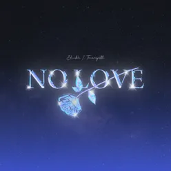 NO LOVE