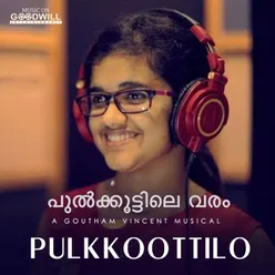 Pulkkoottilo