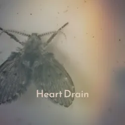 Heart Drain